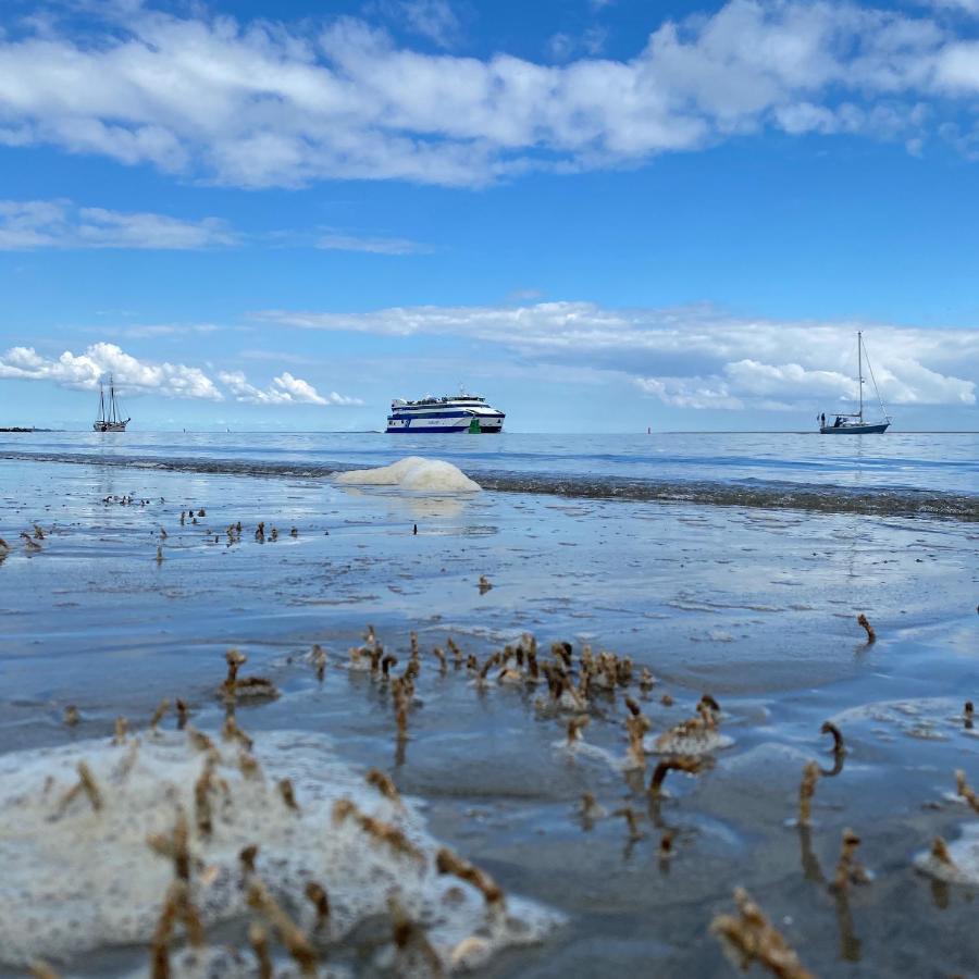 Donia Huys Vlieland Exterior foto