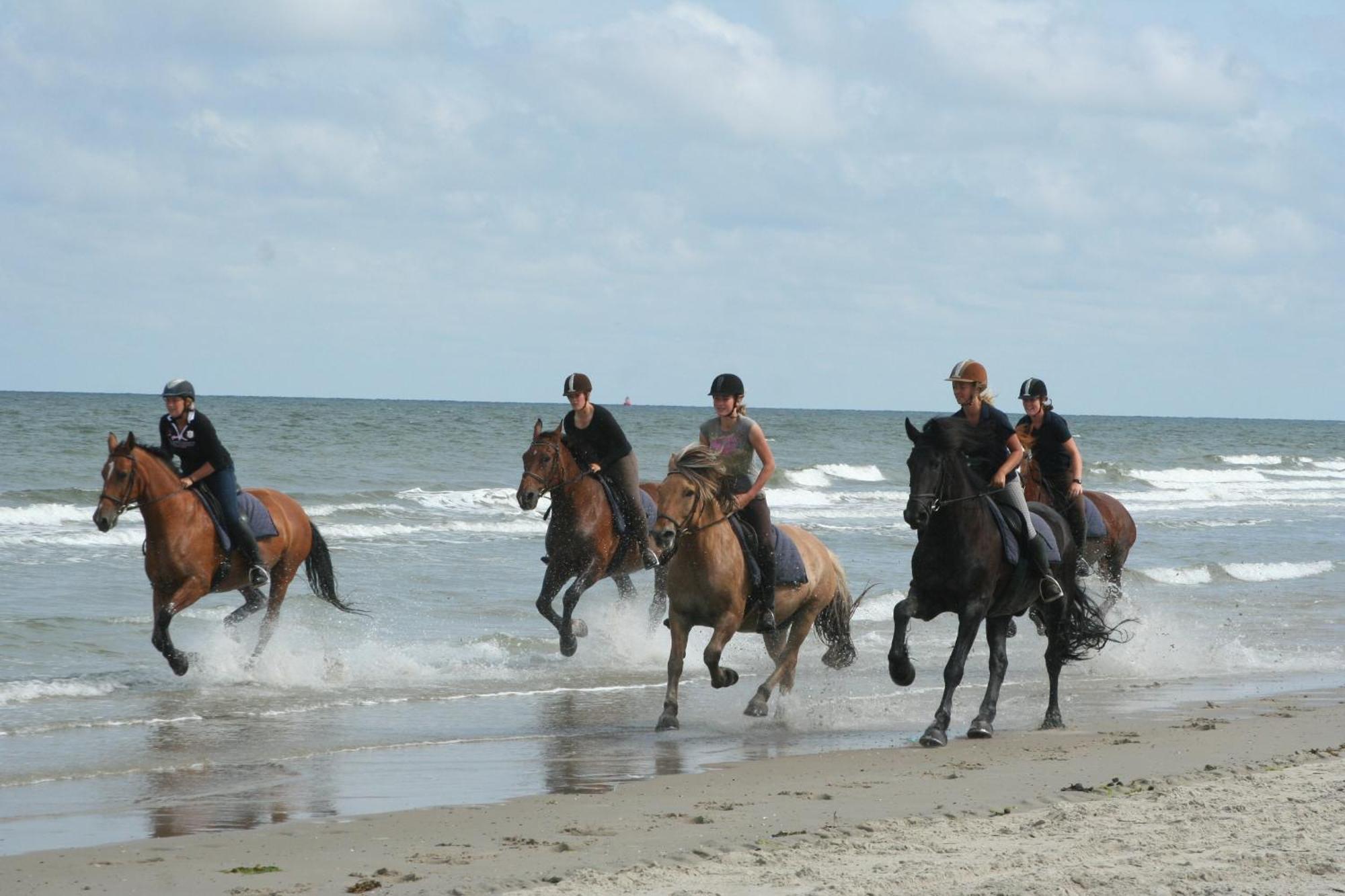 Donia Huys Vlieland Exterior foto