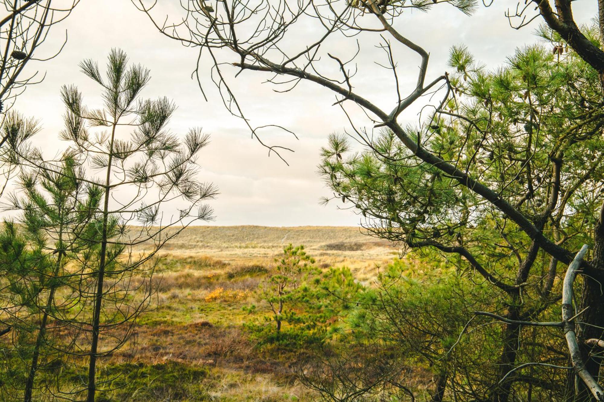 Donia Huys Vlieland Exterior foto